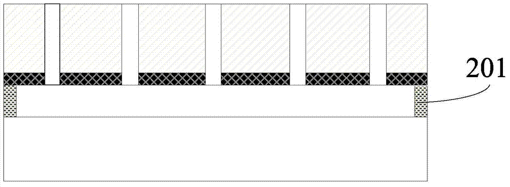 Graphical processing method of nanopillar/needle forest structure