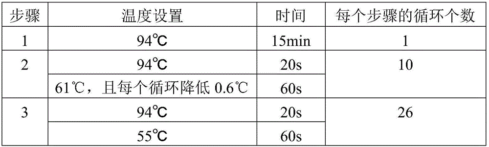 SNP (single nucleotide polymorphism) marker for Chinese cabbage type crop bolting and flowering identification