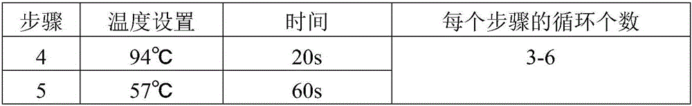 SNP (single nucleotide polymorphism) marker for Chinese cabbage type crop bolting and flowering identification