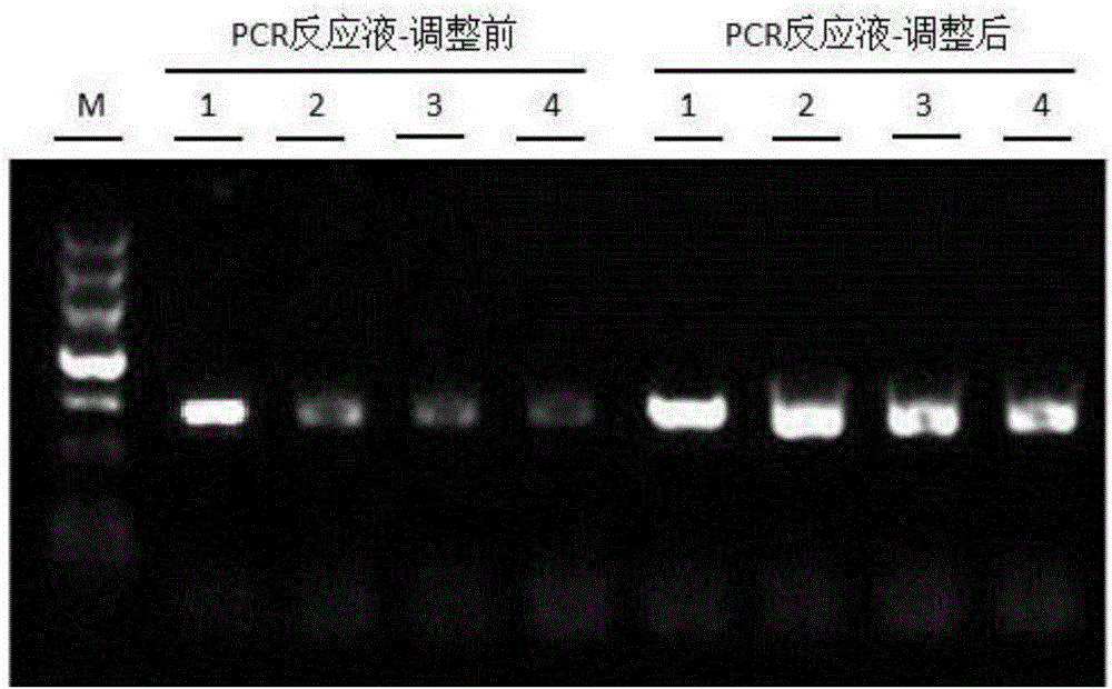 Taq DNA polymerase, and PCR (polymerase chain reaction) fluid and application thereof