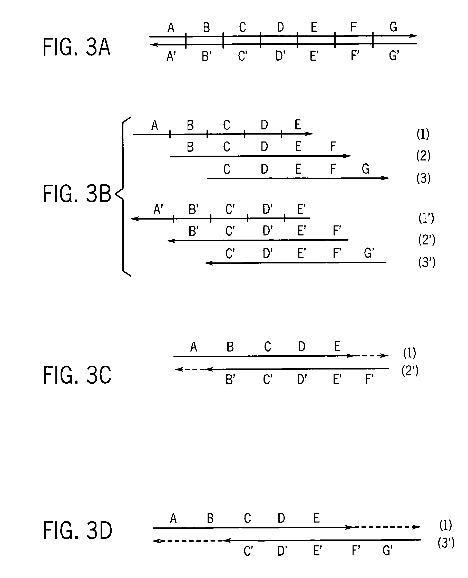Methods for high fidelity production of long nucleic acid molecules with error control
