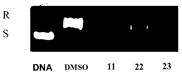 Compound as well as preparation method and application thereof