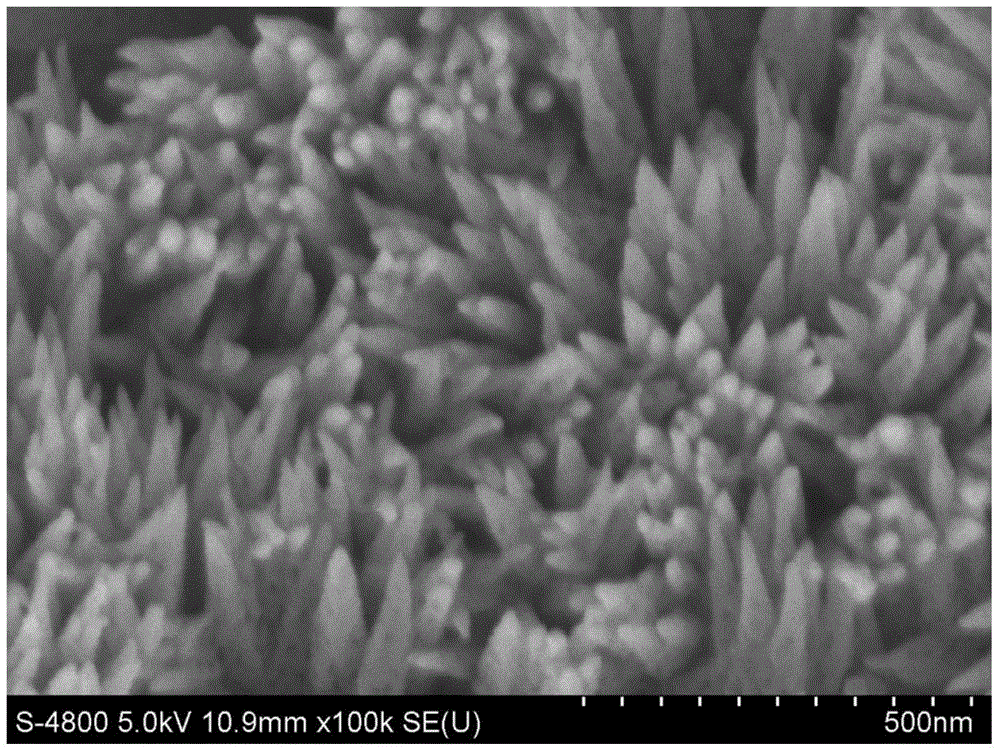Preparation method of porous iron oxide nanorod array