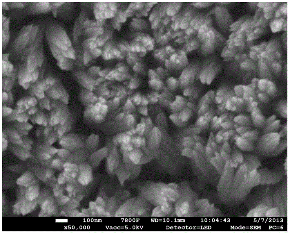 Preparation method of porous iron oxide nanorod array