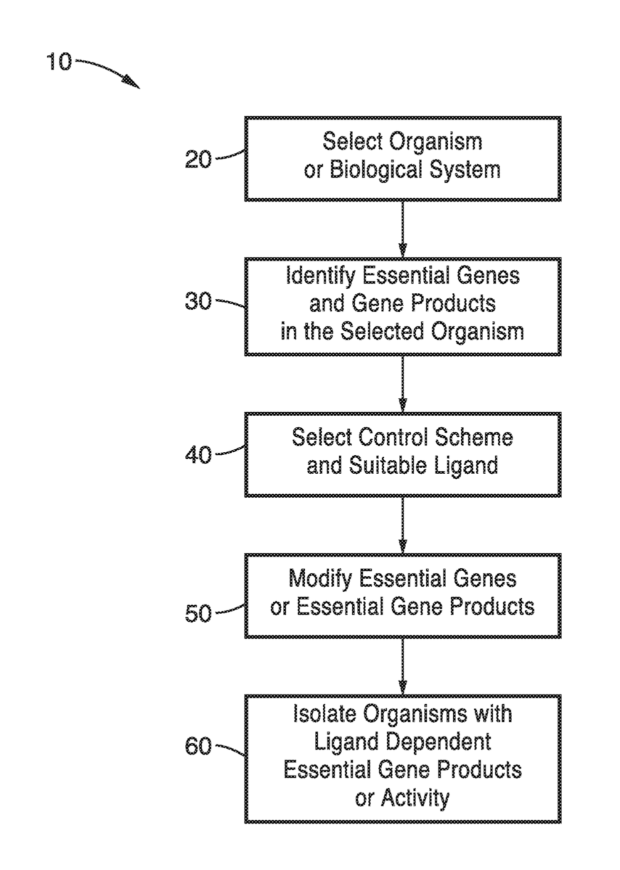 Synthetic auxotrophs with ligand dependent essential genes for biosafety