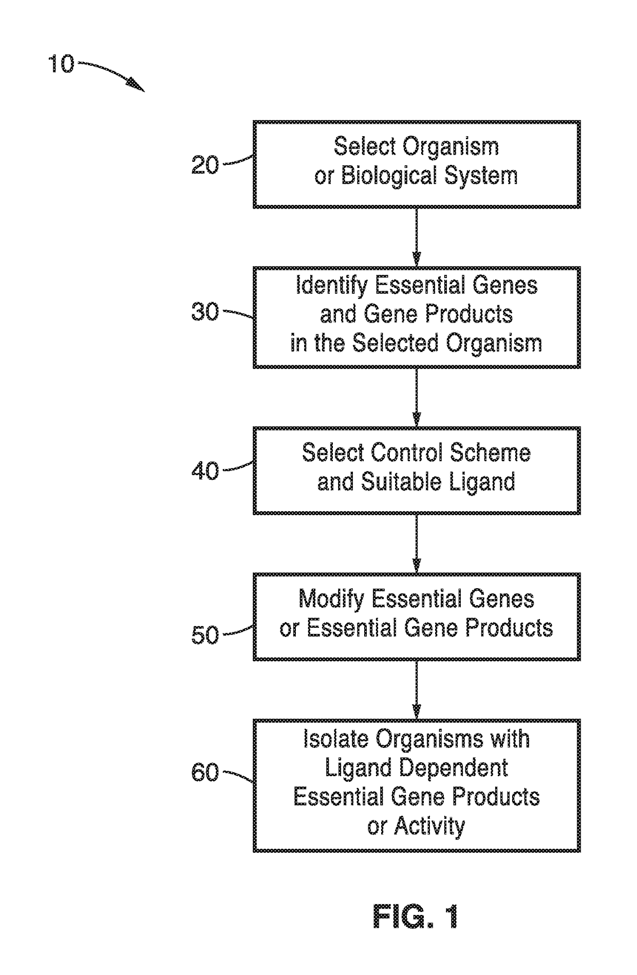 Synthetic auxotrophs with ligand dependent essential genes for biosafety