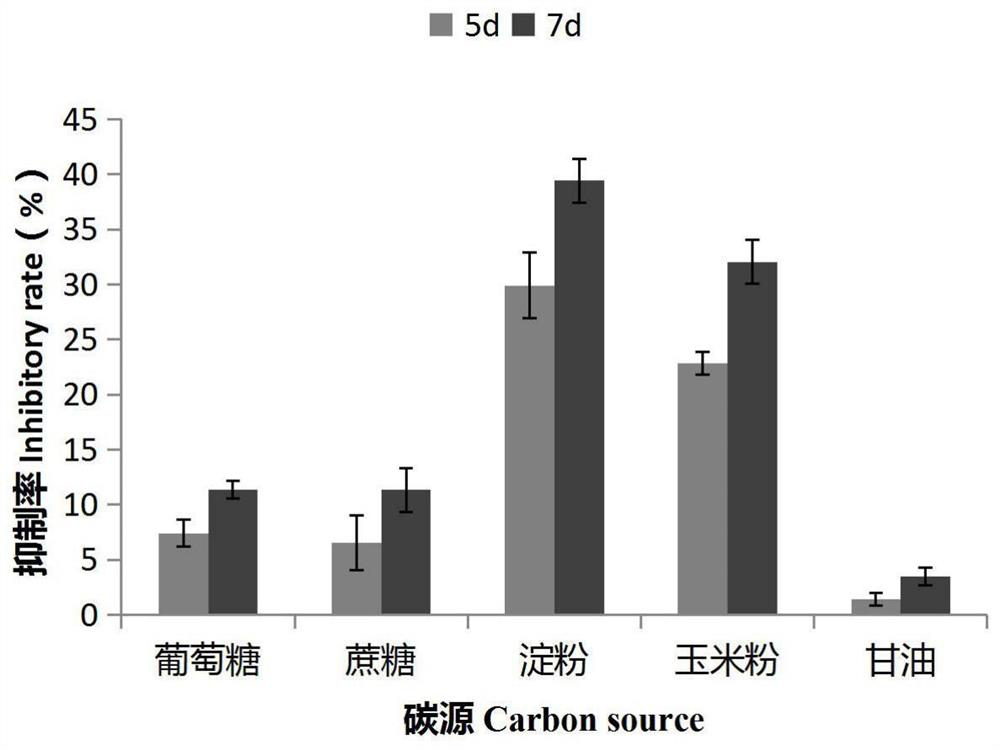 A kind of Bacillus atrophicus e20303 and its application