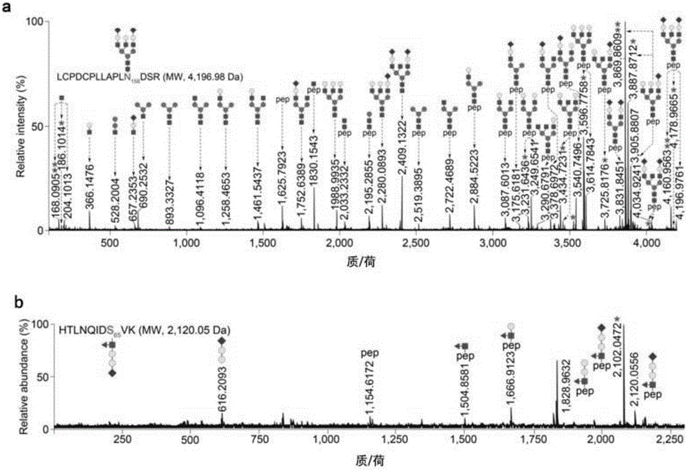 A method for enriching sialylated glycopeptides