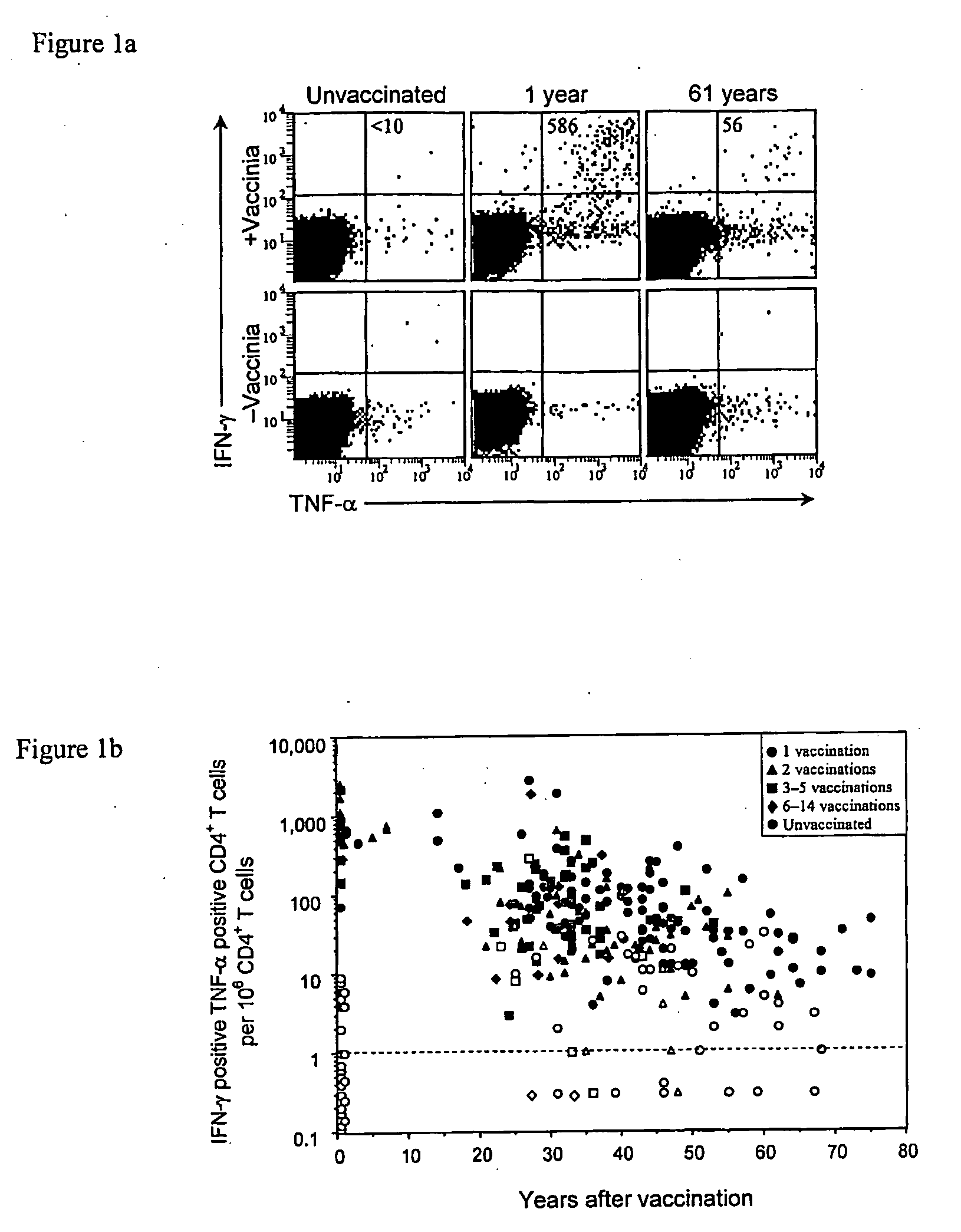 Compositions and methods for diagnosis and treatment of orthopoxviruses