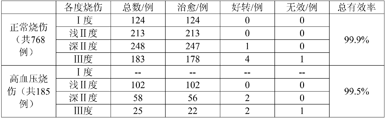 Chinese and Western medicine composition for treating burn