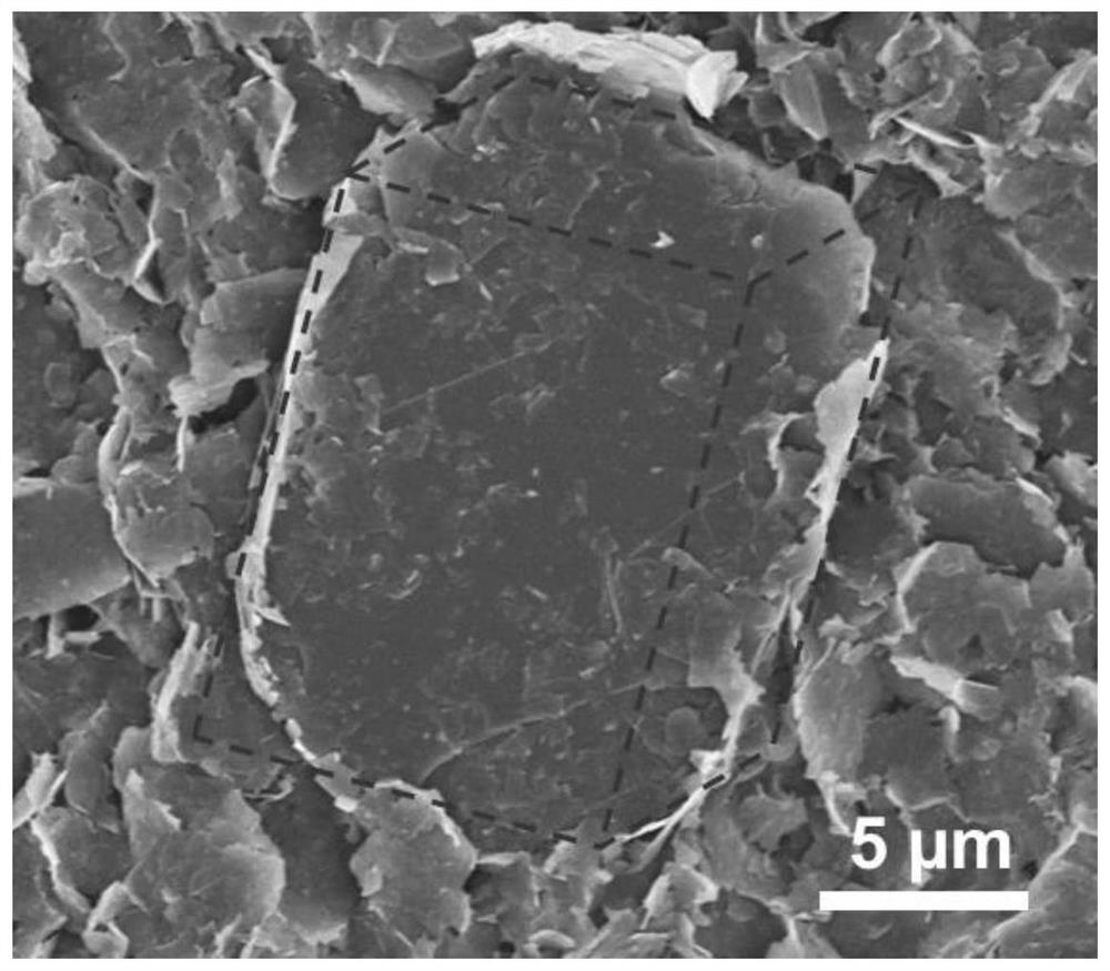 A graphene chip for specific capture of circulating tumor cells in whole blood and its preparation method and application