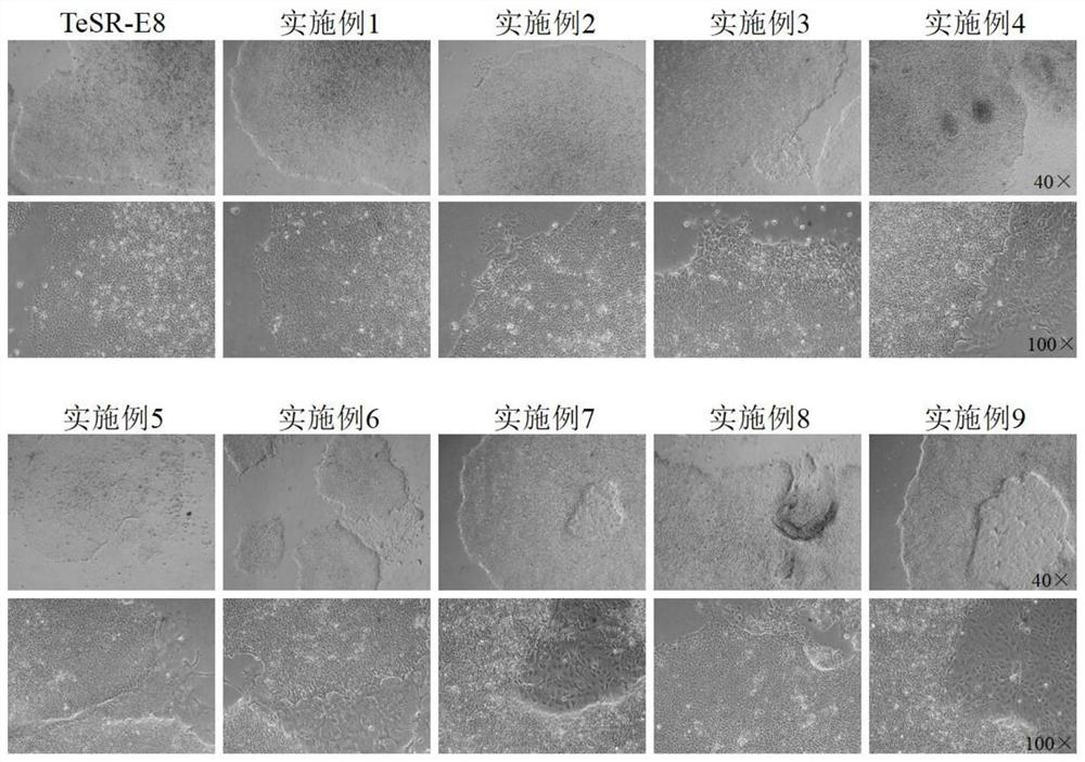 Serum-free and feeder-layer-free culture medium for effectively inhibiting stem cell differentiation and culture method