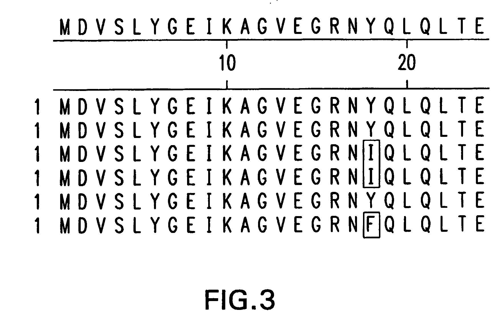 Methods for increasing neisseria protein expression and compositions thereof