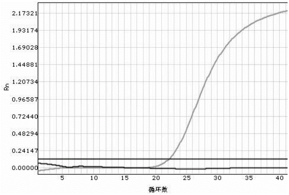 A kit for rapidly detecting human cyp2c19 gene polymorphism and its application method