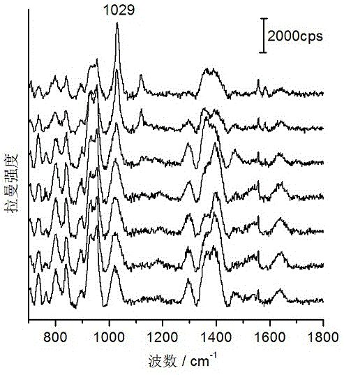 Method of rapidly detecting cyflumetofen by utilizing Raman spectra