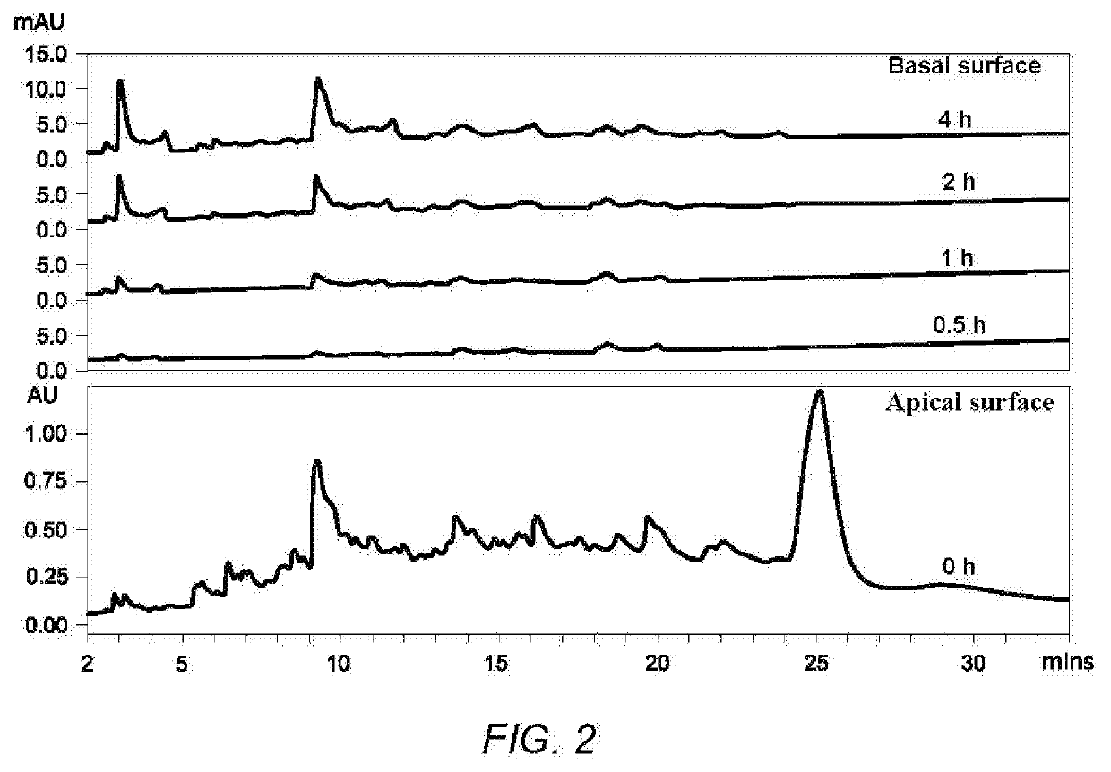Ultrasound-assisted simulated digestion method of milk protein active peptide and application thereof in health foods