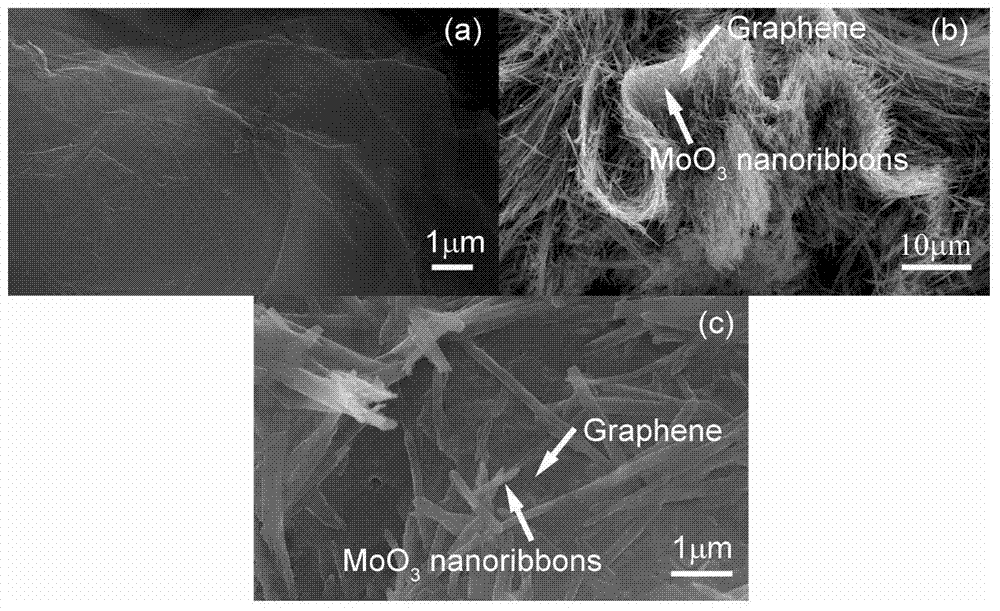 Molybdenum oxide nanobelt/graphene composite material and application of composite material in aspect of preparation of hydrogen-sensitive element
