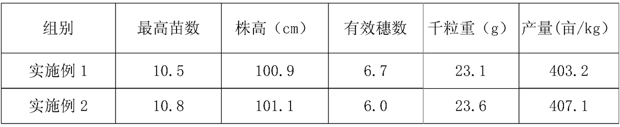 Compound bacterial fertilizer as well as preparation method and application thereof