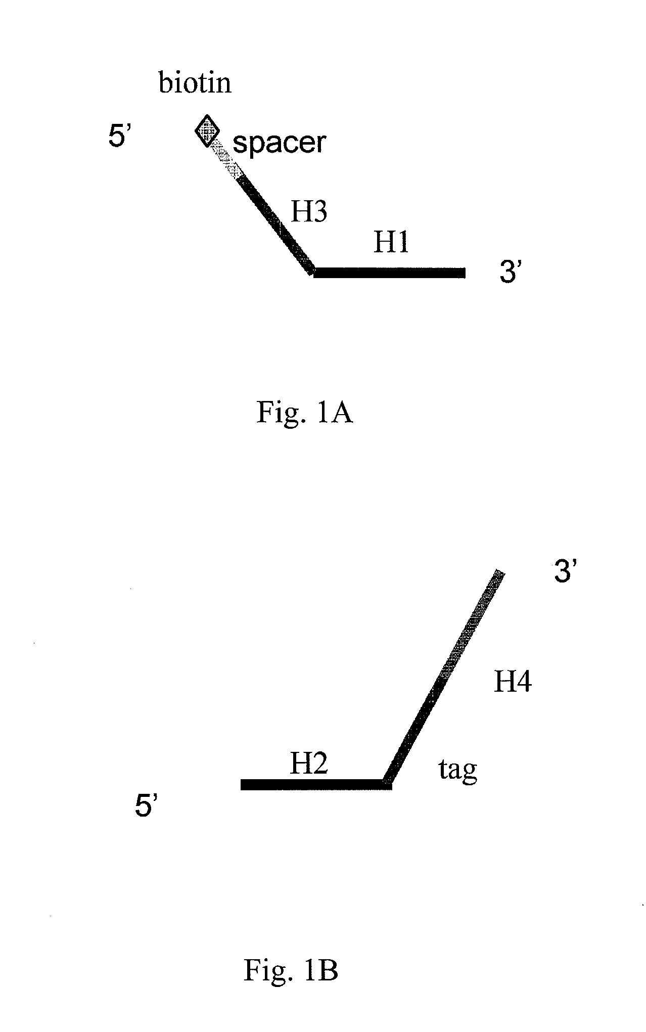 Test probes, common oligonucleotide chips, nucleic acid detection method, and their uses