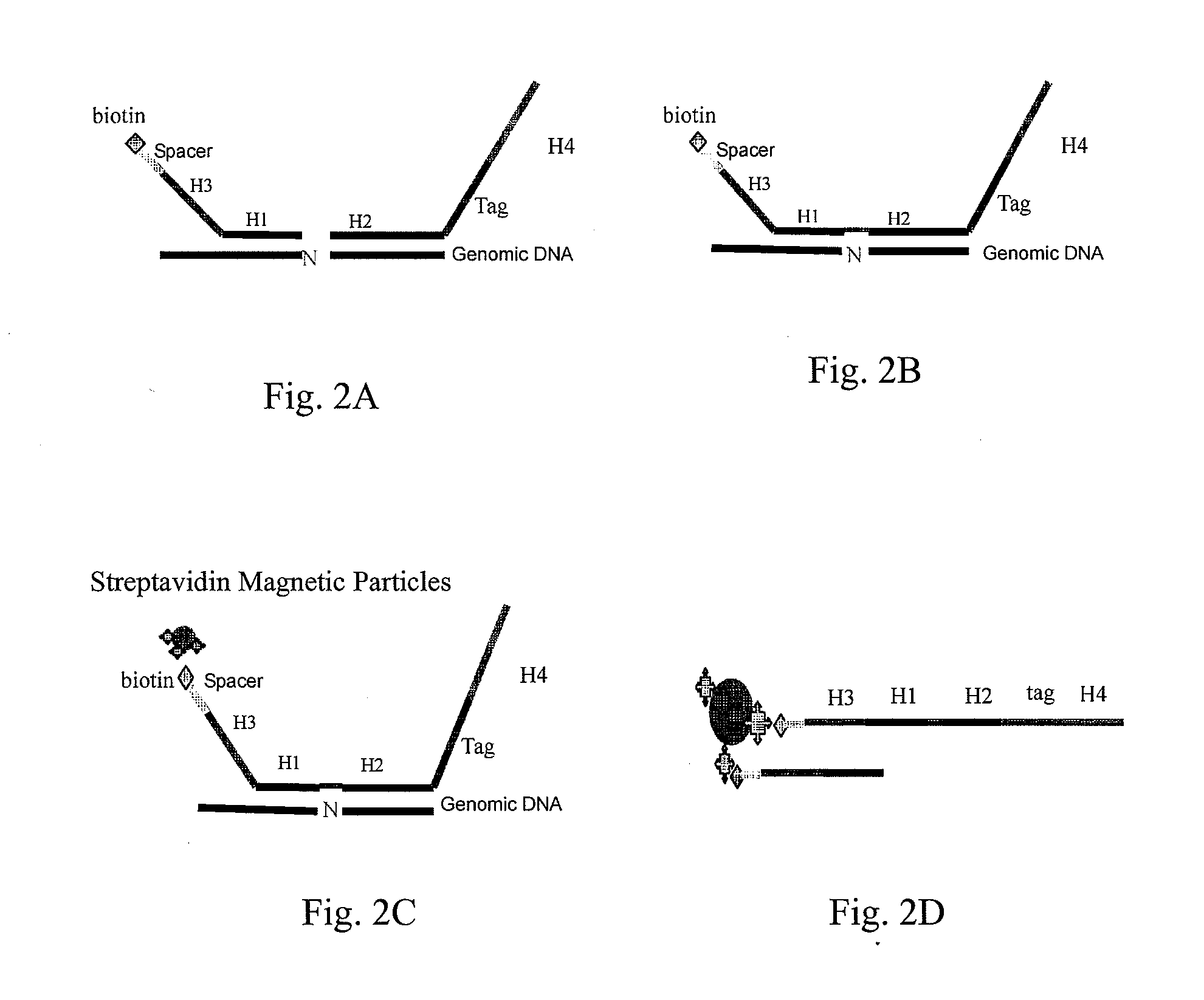 Test probes, common oligonucleotide chips, nucleic acid detection method, and their uses
