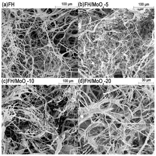 Method for preparing mycelium/molybdenum oxide adsorption-catalytic material by utilizing biological enrichment