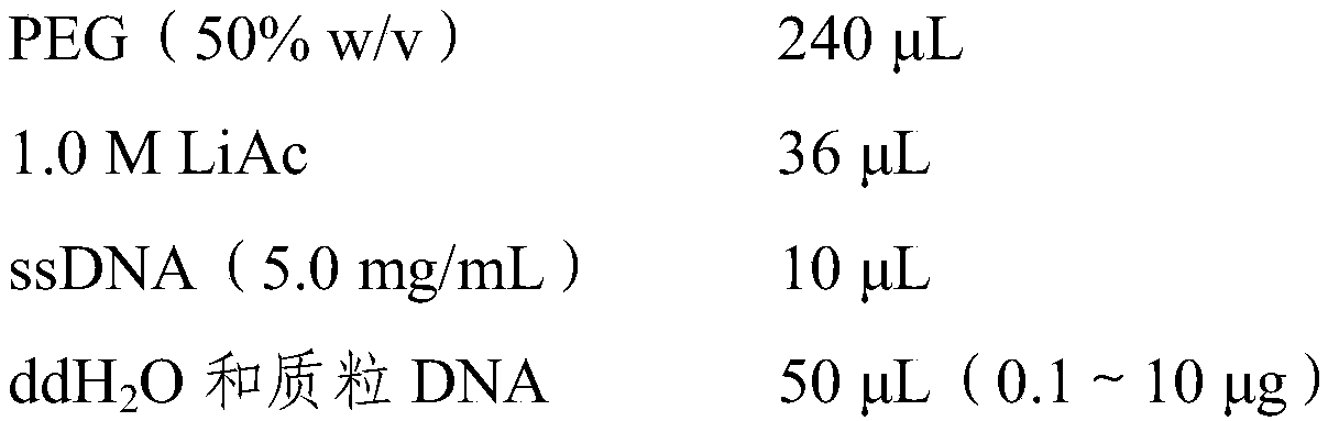 Tobacco KUP5 protein and coding gene and application thereof