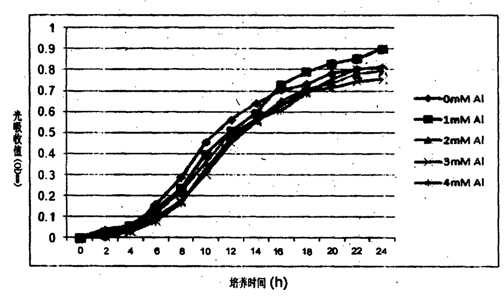 Bacterial strain resistant to acid-aluminum