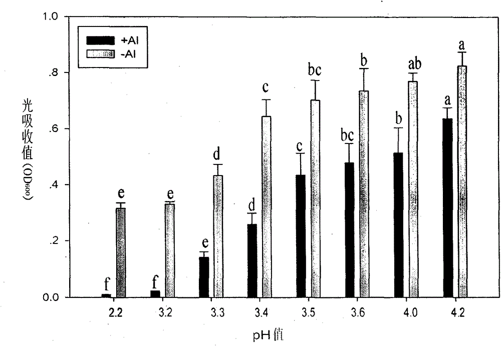 Bacterial strain resistant to acid-aluminum