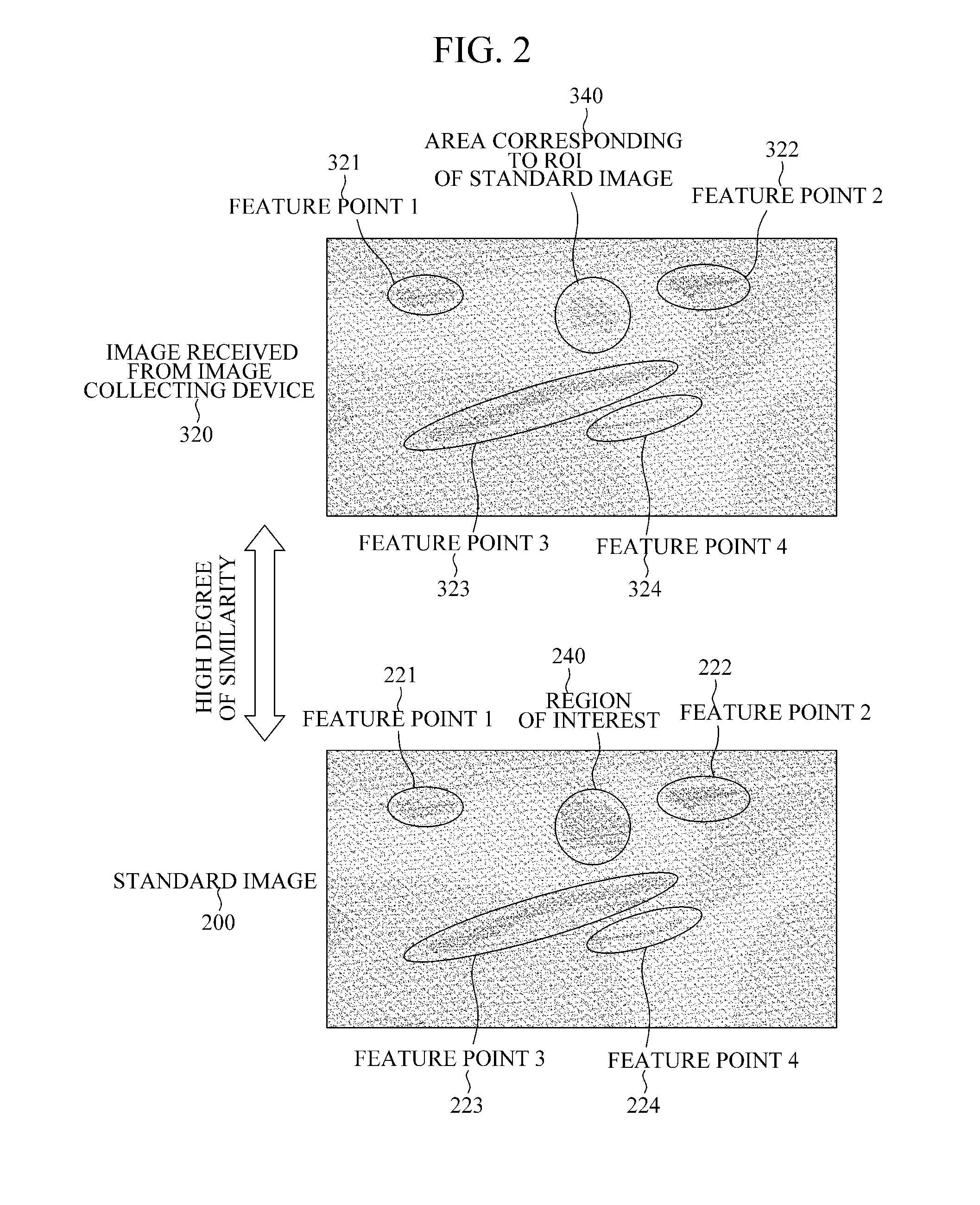 Method and apparatus for supporting diagnosis of region of interest by providing comparison image