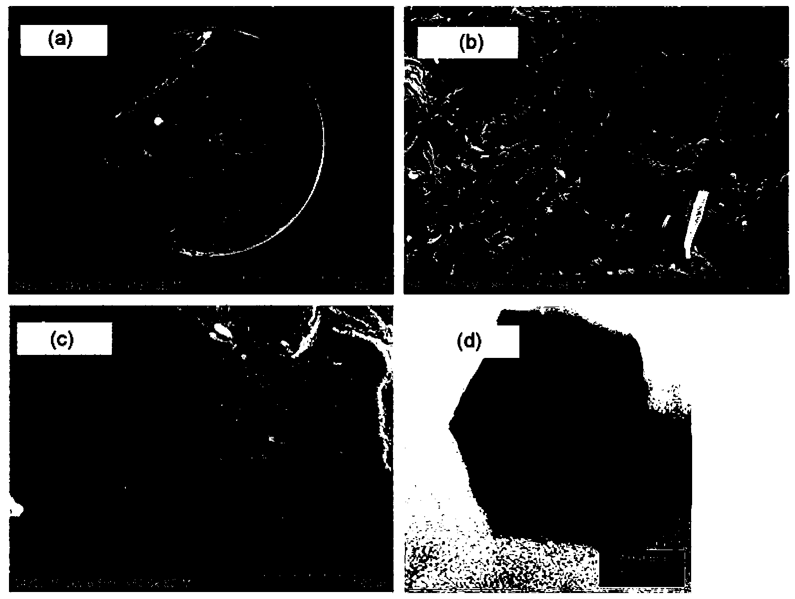 Method for extracting acetoin from fermentation liquor