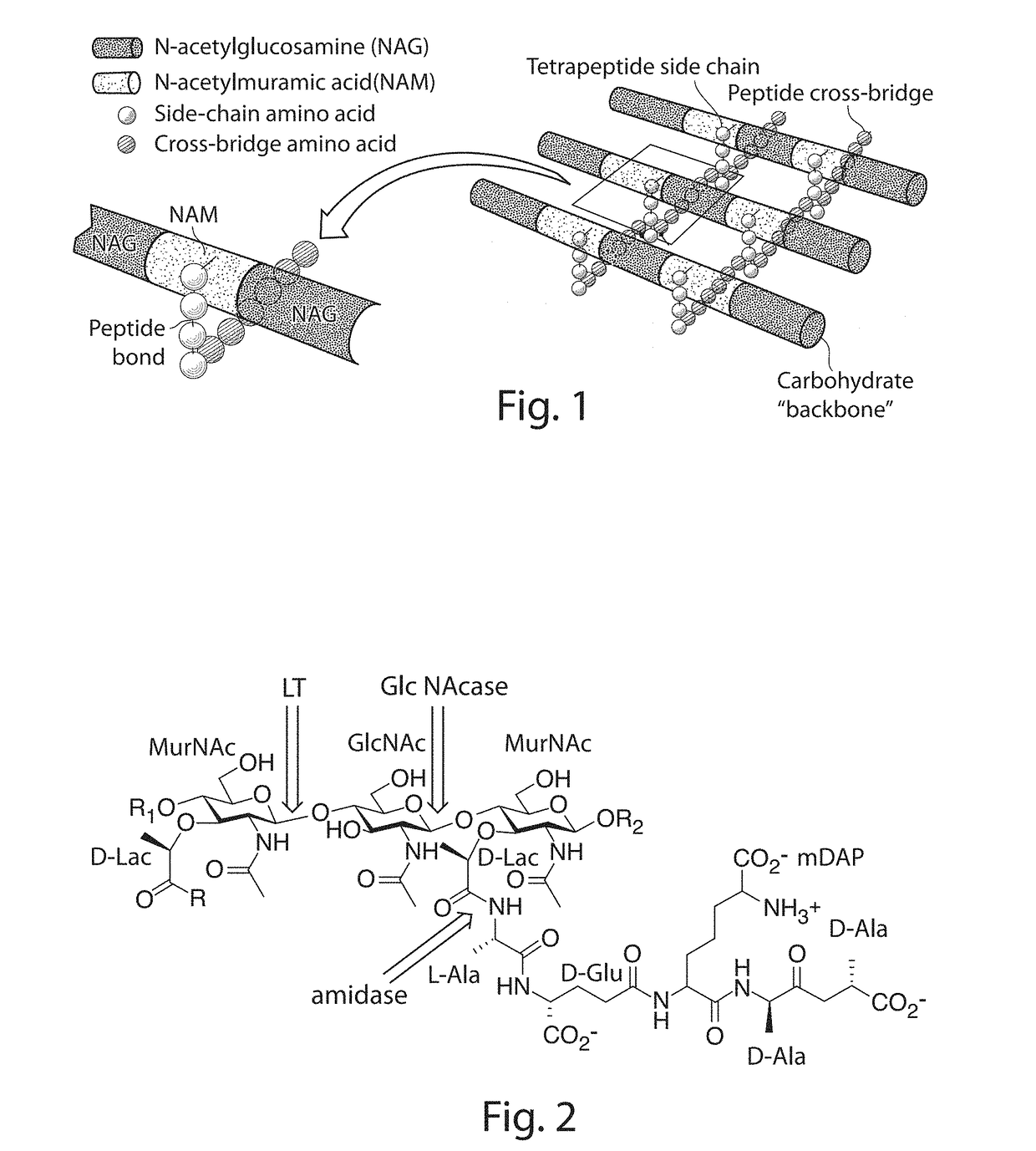 Novel Antibacterial Compounds and Methods of Making and Using Same