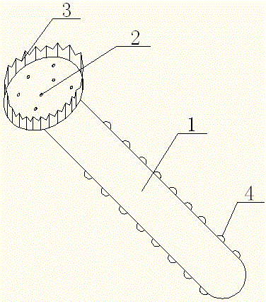 Portable fish scale scraper