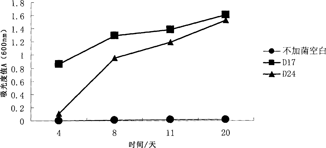 Low-temperature-resistant petroleum degradation strains as well as culture method, culture medium and application thereof