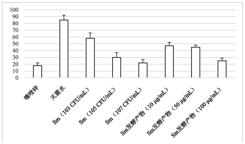 Application of Sphingomonas cucurbitus and its fermentation products in the control of rice bacterial diseases