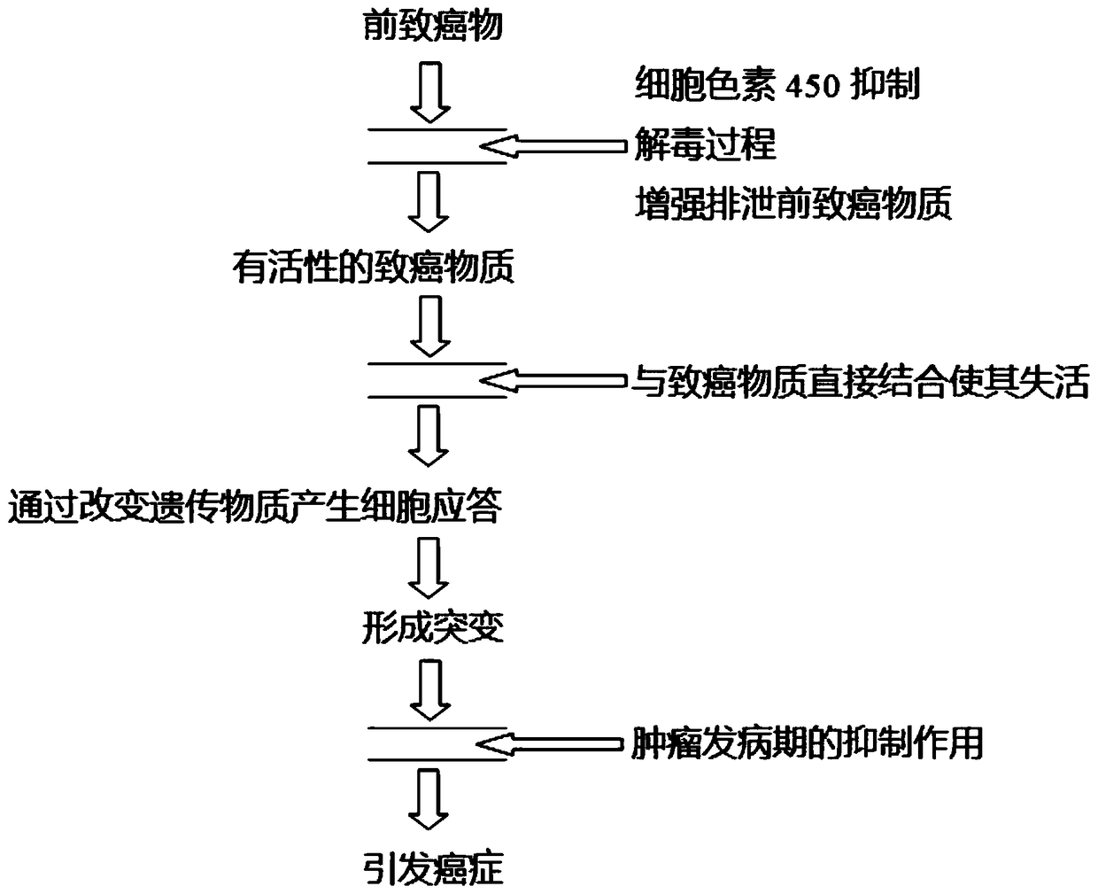 Natural medicament with cancer prevention effect and preparation method and application thereof
