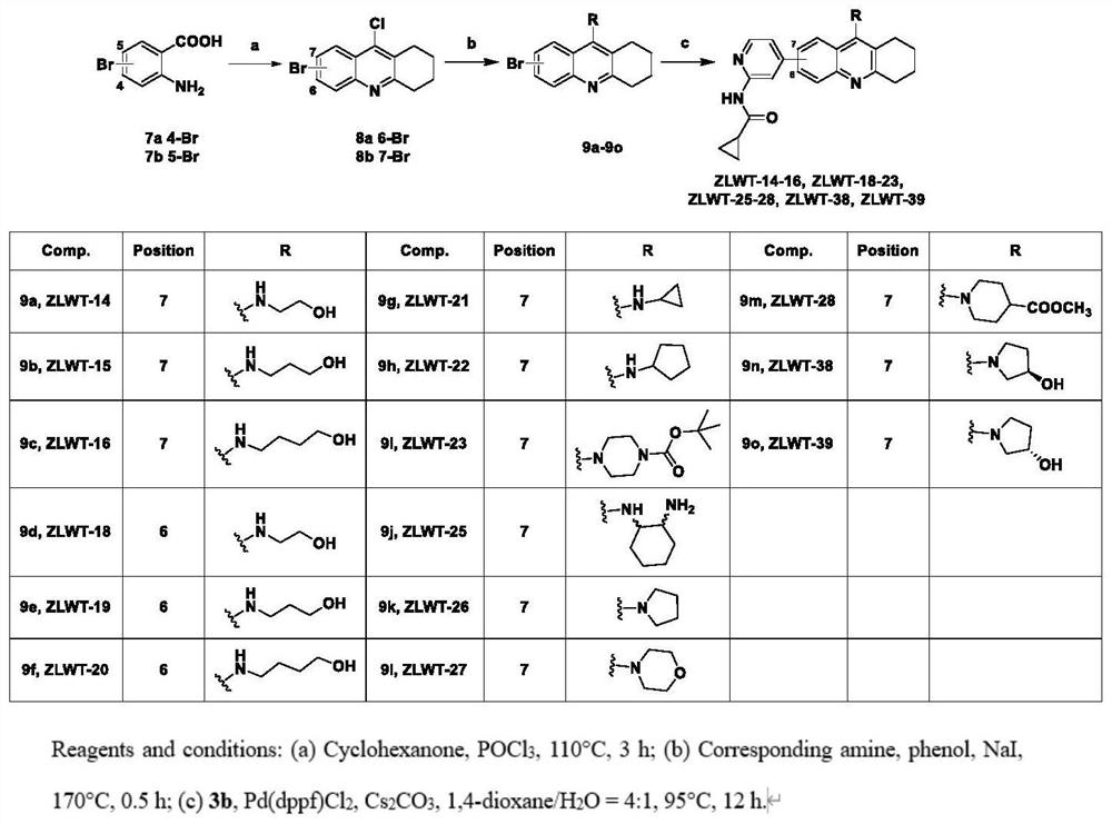 Tacrine derivative as CDKs inhibitor and application thereof