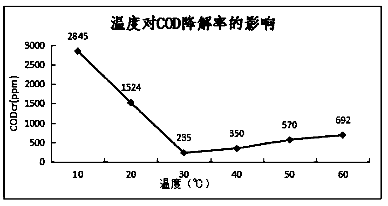 Method for degrading CODs (chemical oxygen demands) in high concentration organic amine industrial wastewater by using anaerobe