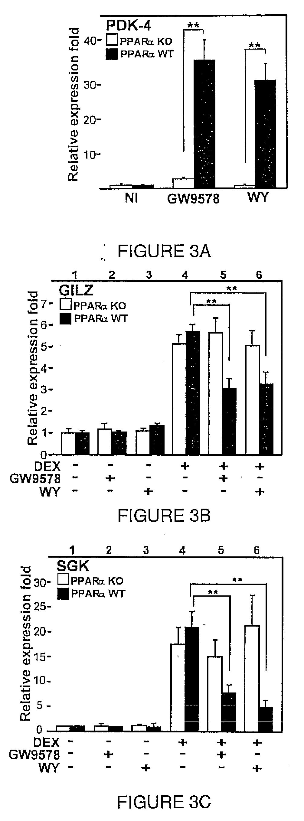 Composition and methods relating to glucocorticoid receptor-alpha and peroxisome proliferator-activated receptors