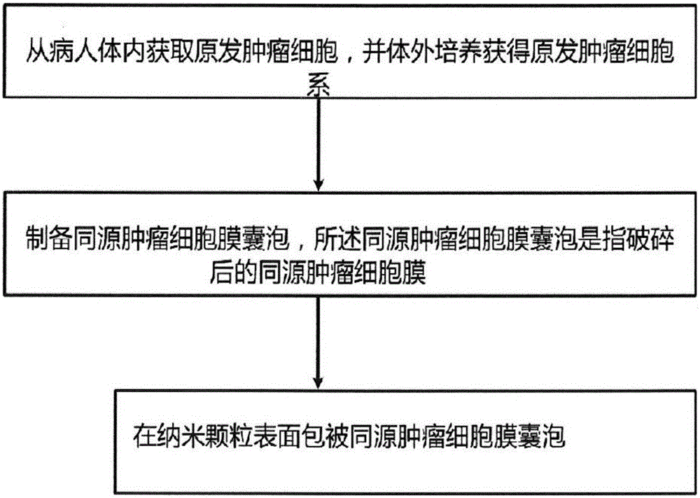 Targeting drug carrier and preparation method and application thereof