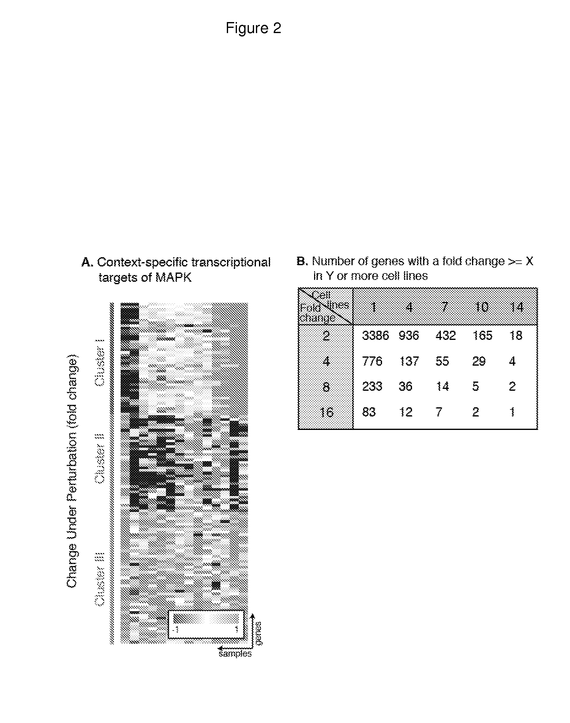 Compositions and methods for treating cancer using interferon and mapk pathway inhibitor