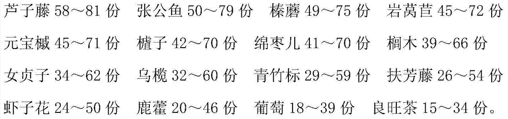 Traditional Chinese medicine preparation for treating osteoporosis and preparation method thereof