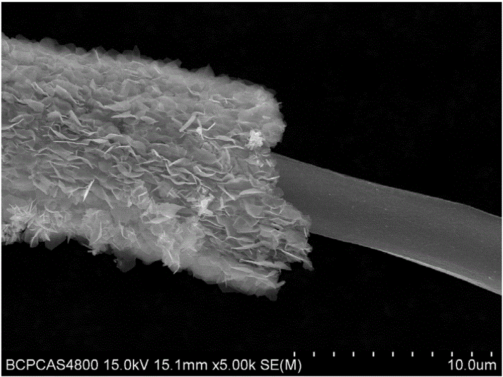 Carbon fiber@ tungsten disulfide nanosheet kernel-shell composite structure and preparation method thereof