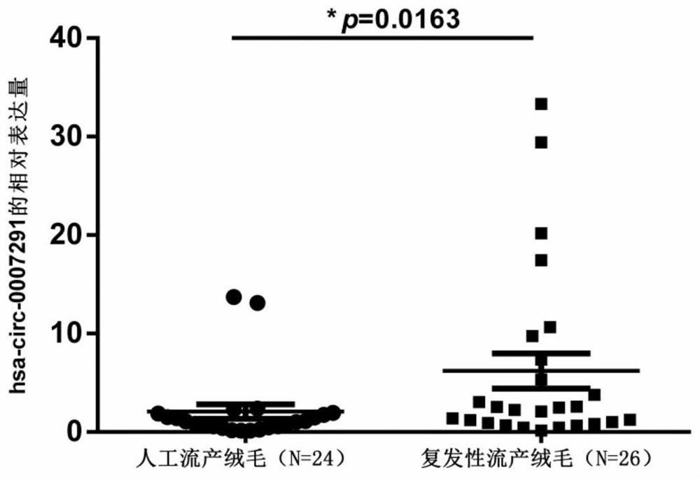 Circular RNA marker and application thereof in diagnosis and prediction of recurrent abortion pathology pregnancy