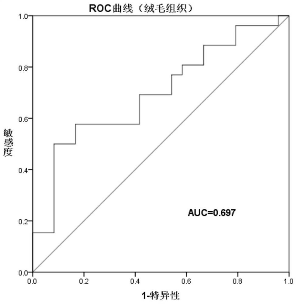 Circular RNA marker and application thereof in diagnosis and prediction of recurrent abortion pathology pregnancy