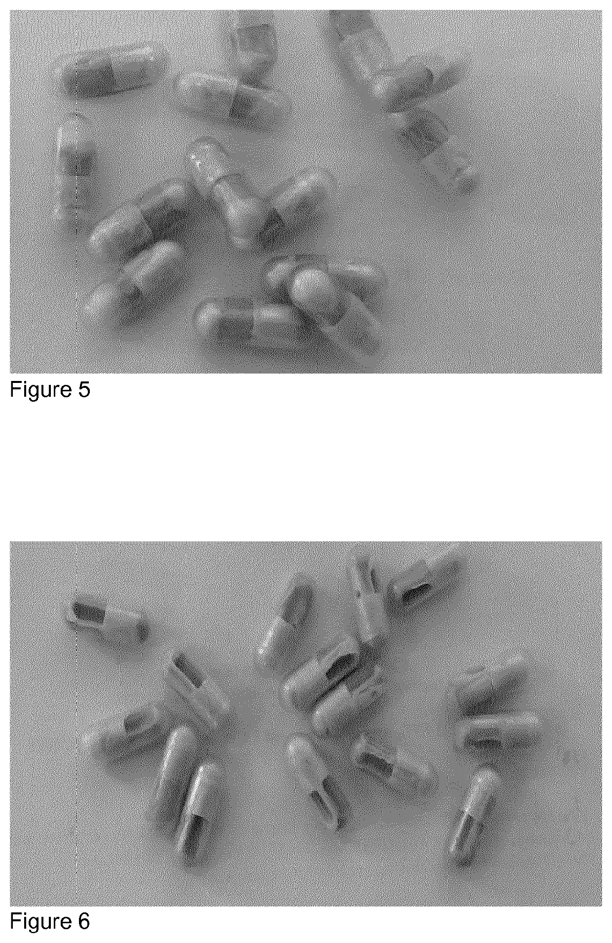 Stable capsules with fecal microbiota or a culture of microorganisms
