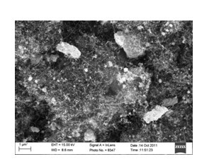 Method for removing mercury ions from water by using silver-modified magnetic carbon nanotube and regeneration method