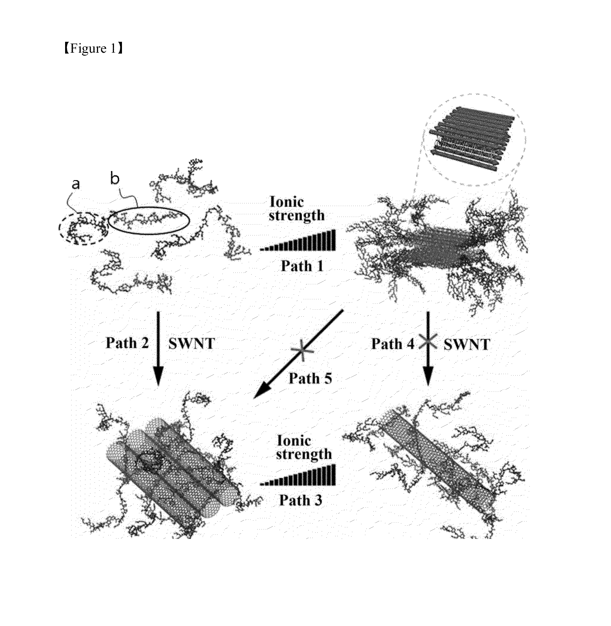 Bioactive carbon nanotube composite functionalized with b-sheet polypeptide block copolymer, and preparation method thereof