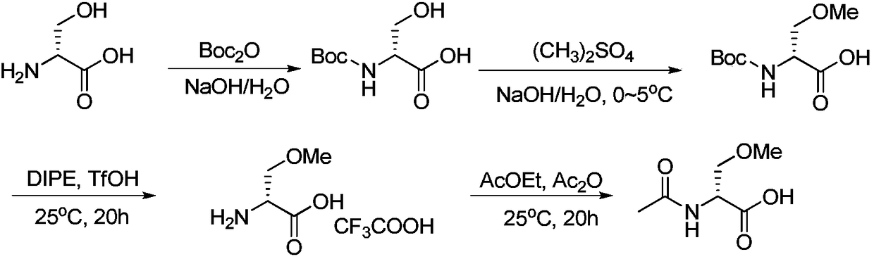 Preparation method of R-2-acylamino-3-methyl methoxypropionate