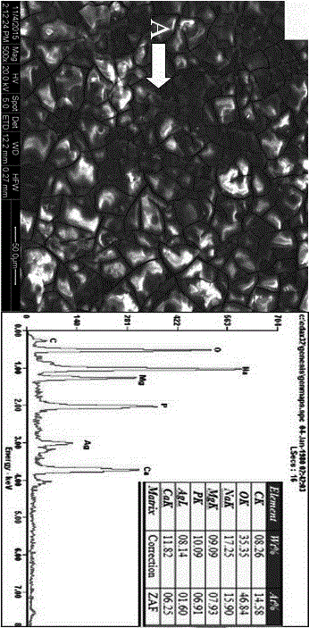 Novel biodegradable Mg-Zn-Y-Nd-Ag antimicrobial magnesium alloy and preparation method thereof