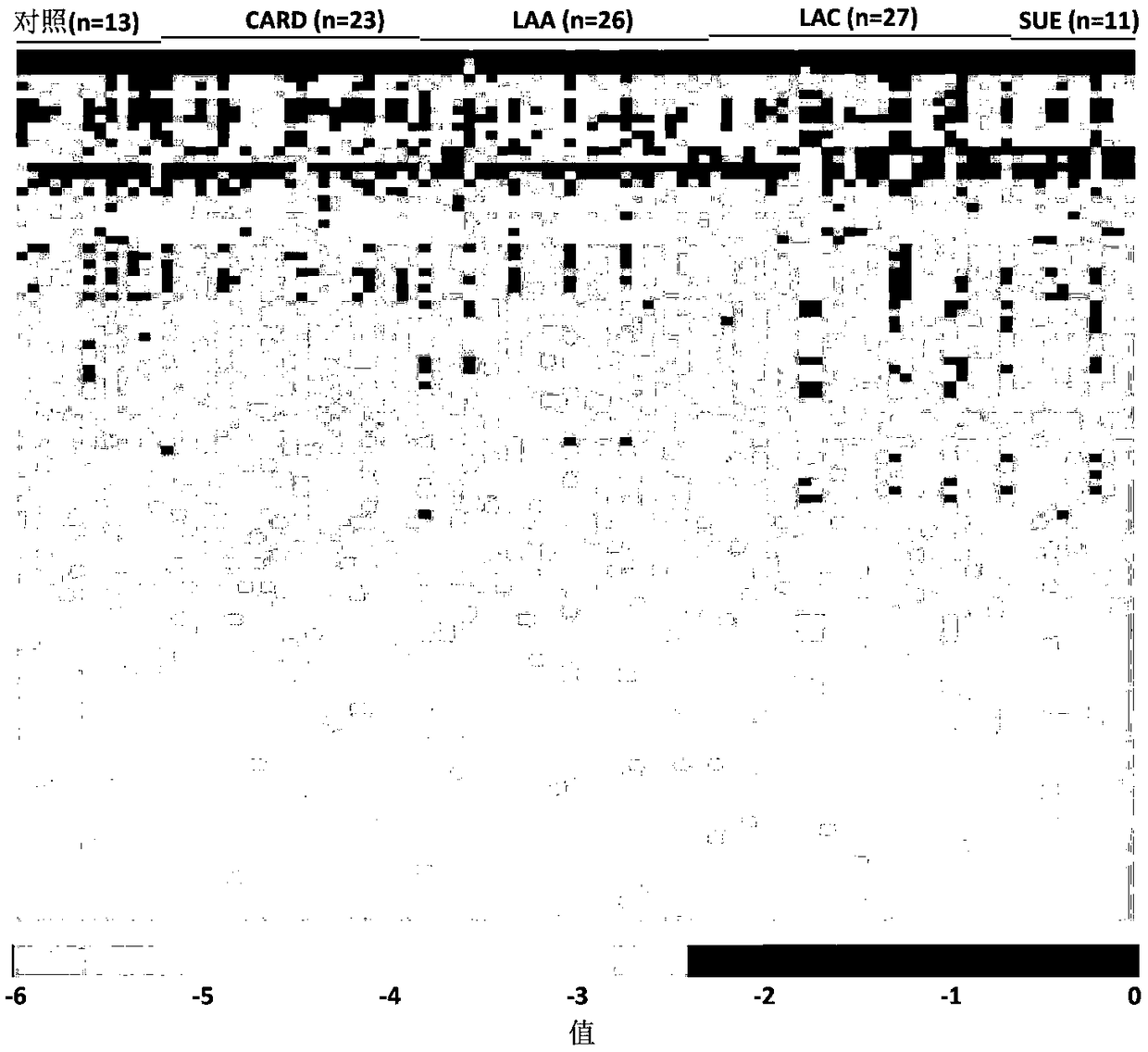MicroRNA marker combination for identifying cause subtype of ischemic stroke and application of microRNA marker combination